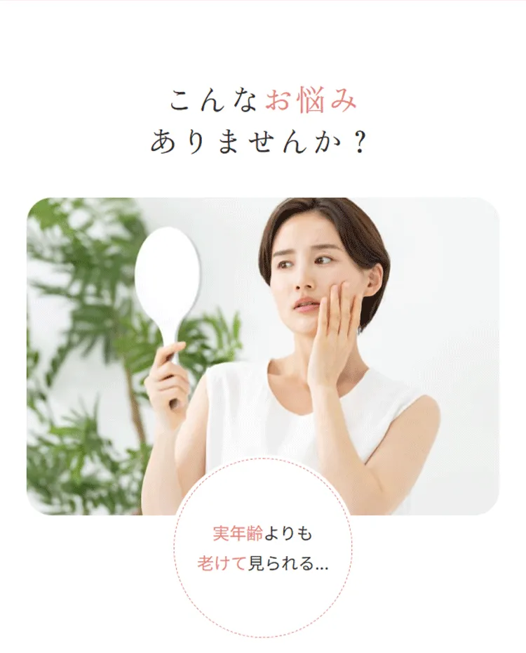 画像の説明文を入れてください