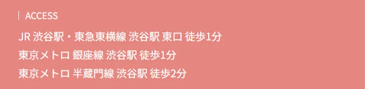 画像の説明文を入れてください