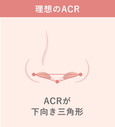 小鼻と鼻柱の関係（ACR）