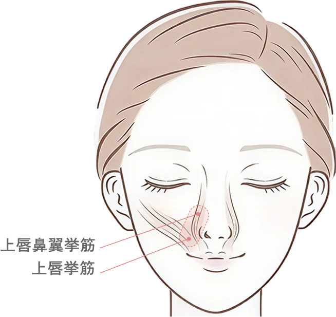 ガミースマイルのボトックス注射とは