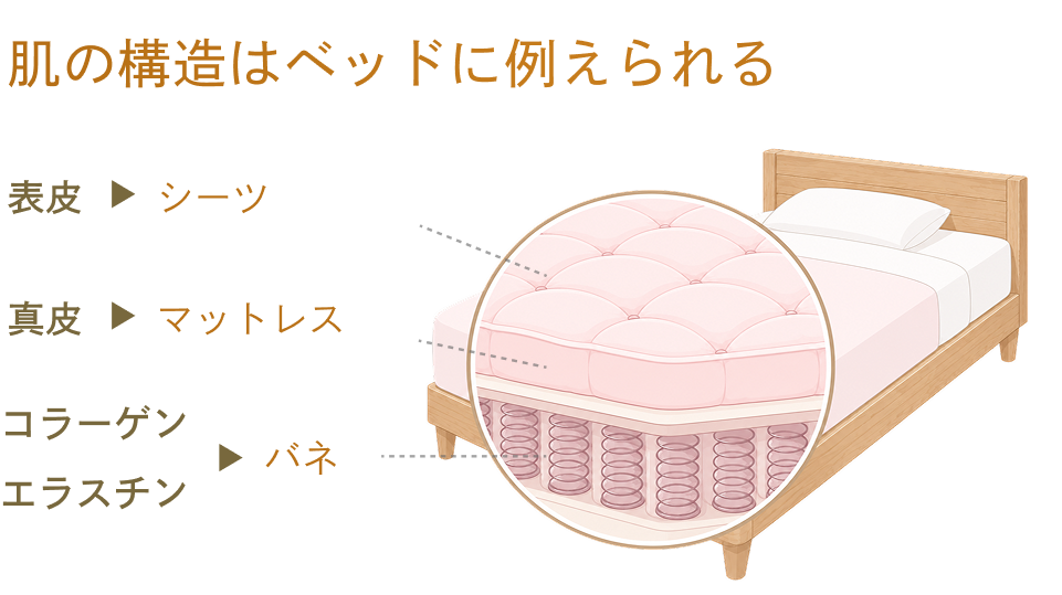 肌状態に合わせた治療アプローチ