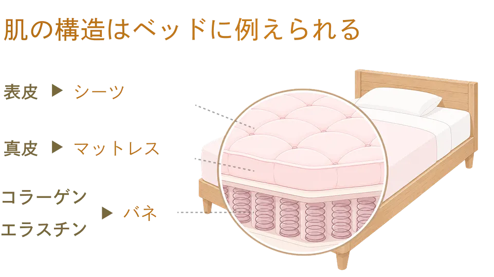 肌状態に合わせた治療アプローチ