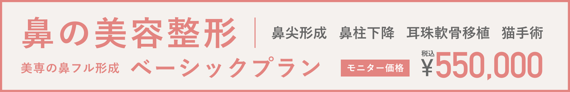 鼻の美容整形 ・鼻尖形成・鼻柱下降・耳珠軟骨移植・猫手術 美専の鼻フル形成 ベーシックプラン モニター価格 税込 ¥550,000